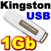 Memoria 1GB Kingston Data Traveler